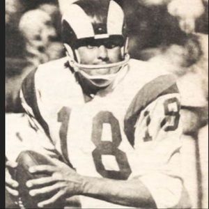 Vintage #18 Roman Gabriel LA Rams jersey